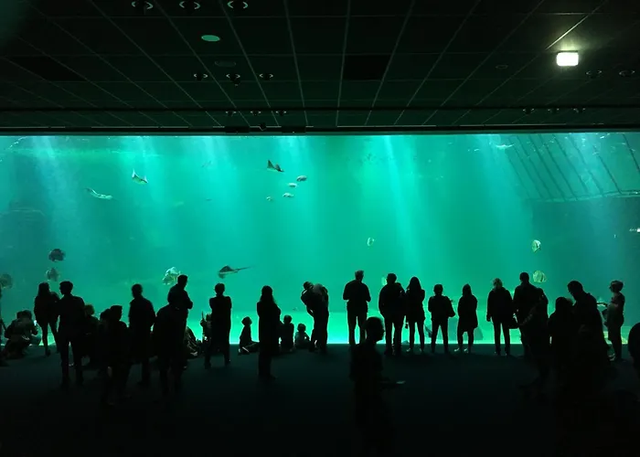 Le Coeur D'opale Mobil Bord De *