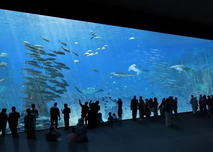 Le Coeur D'opale Mobil Bord De Camping Le Portel